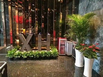 廣州鮮花綠植租賃服務(wù) 為城市空間注入盎然生機