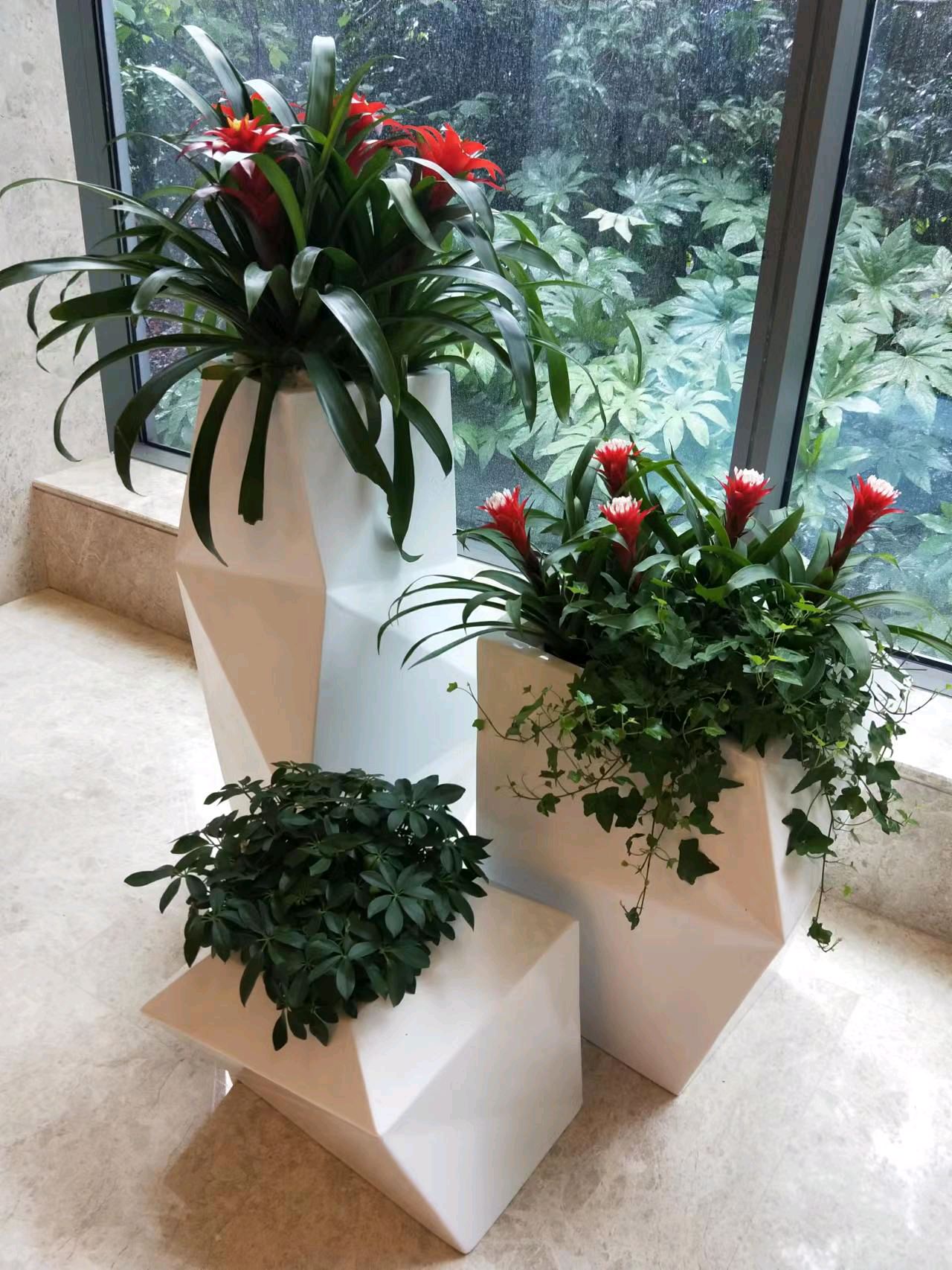 綠色生活，從專業租賃開始 一站式花卉綠植服務，打造詩意空間